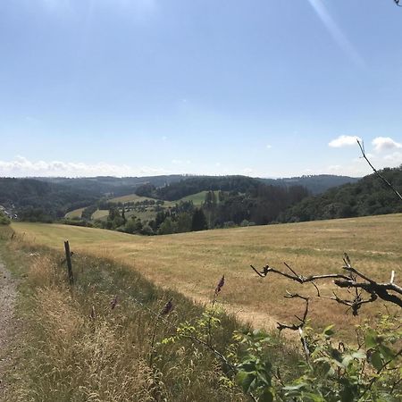 Gluehalm Willingen Villa Willingen  Exteriör bild
