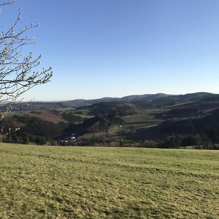Gluehalm Willingen Villa Willingen  Exteriör bild