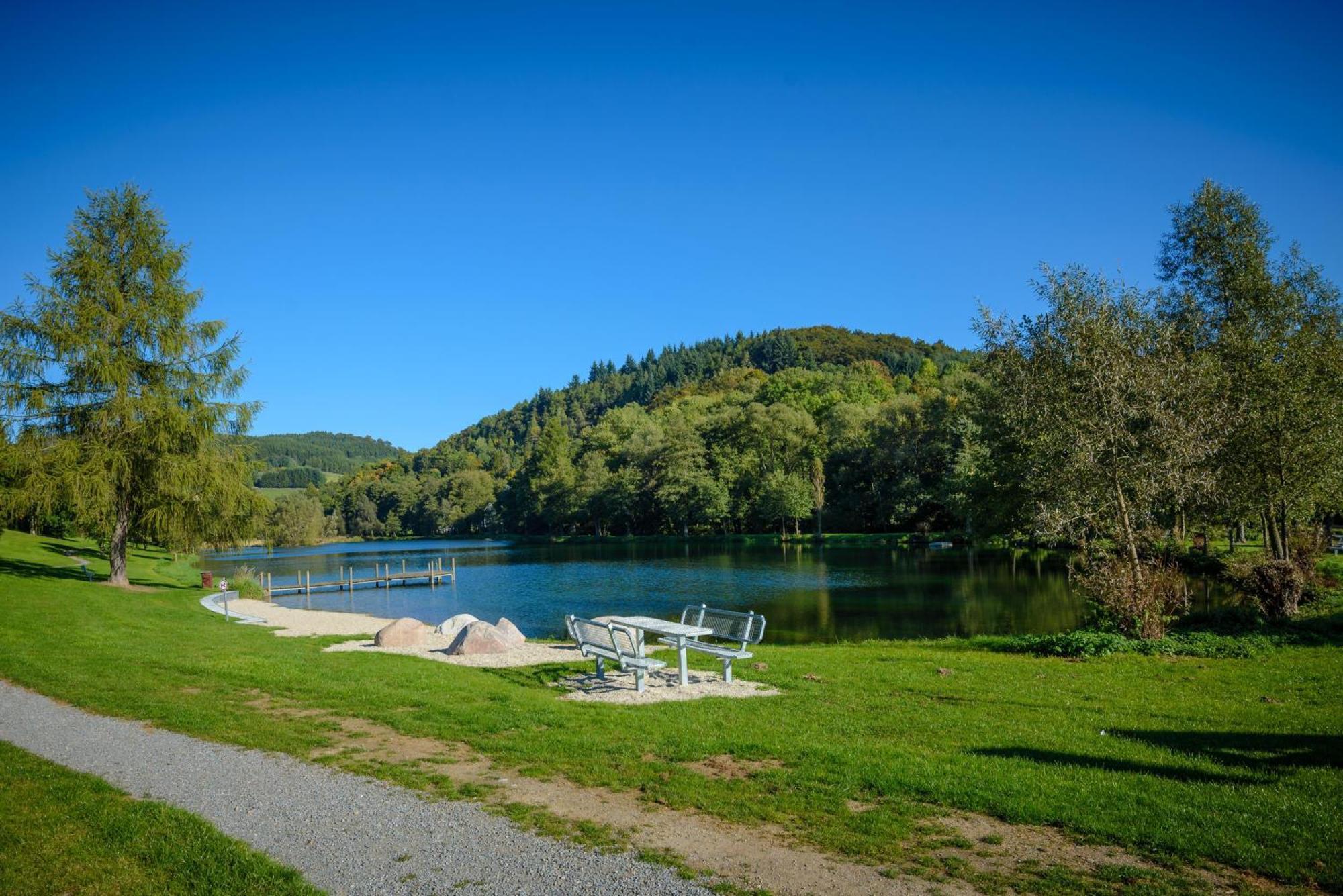 Gluehalm Willingen Villa Willingen  Exteriör bild