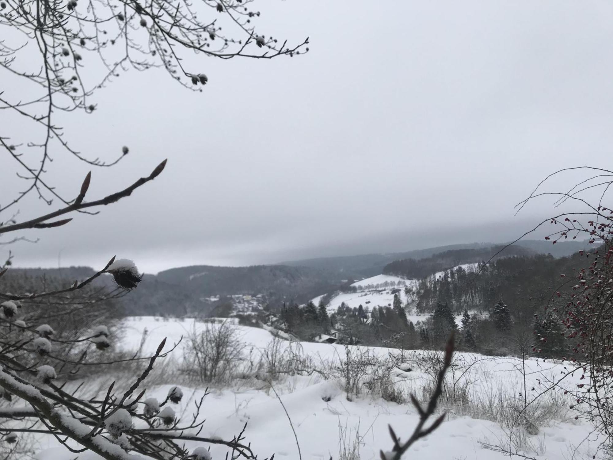 Gluehalm Willingen Villa Willingen  Exteriör bild
