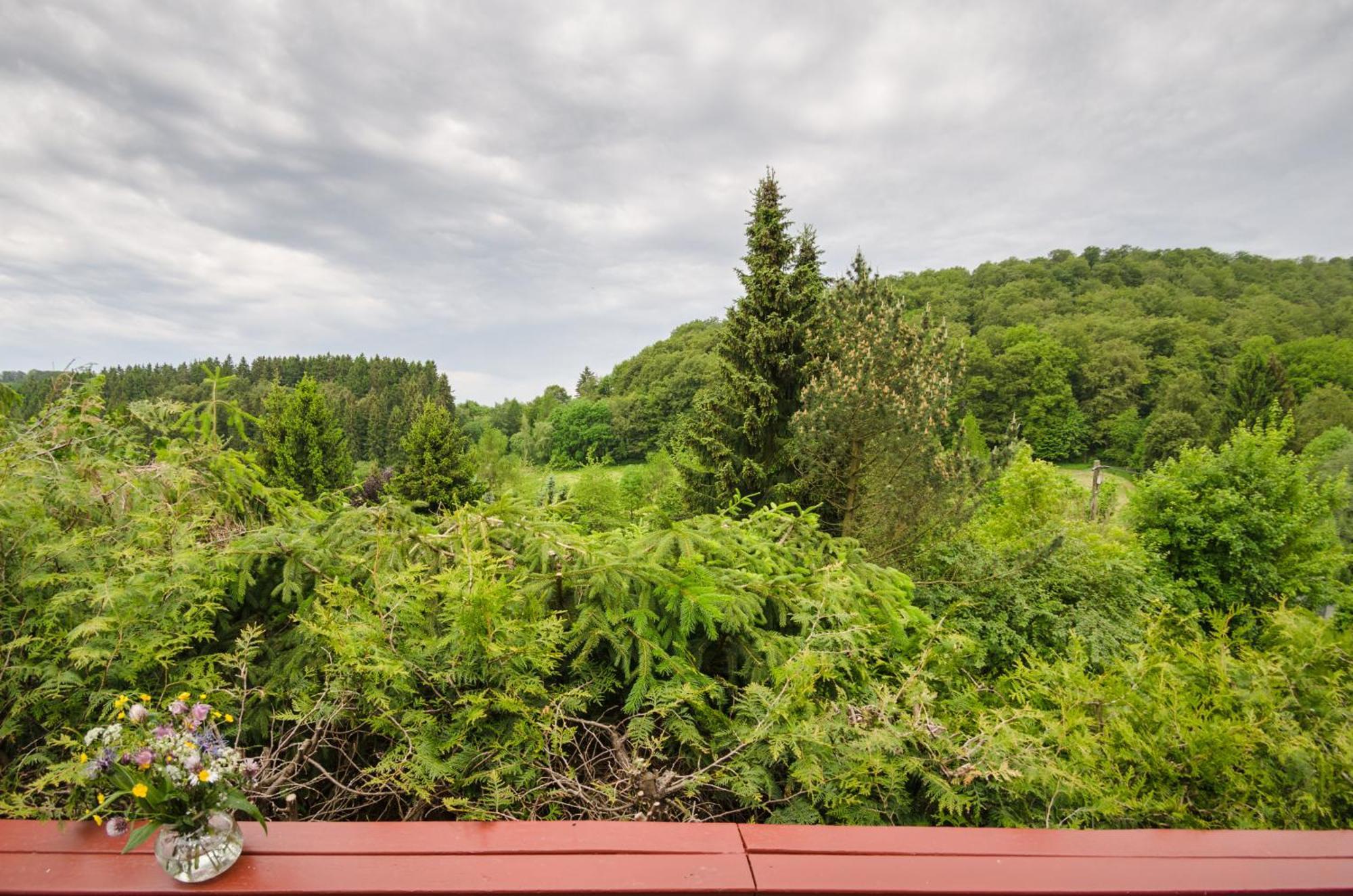 Gluehalm Willingen Villa Willingen  Exteriör bild