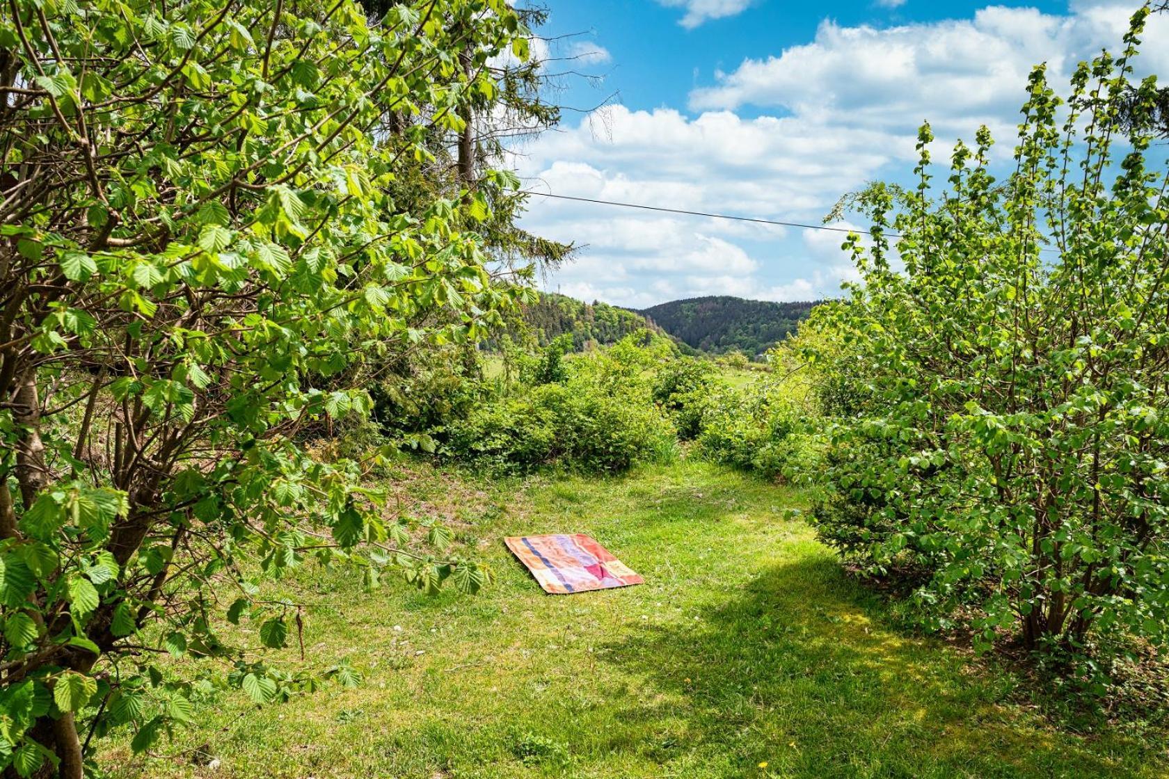 Gluehalm Willingen Villa Willingen  Exteriör bild